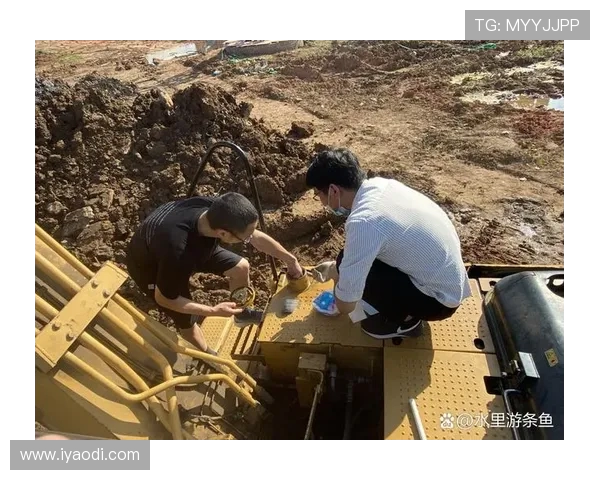 挖掘机特种拆除机器人